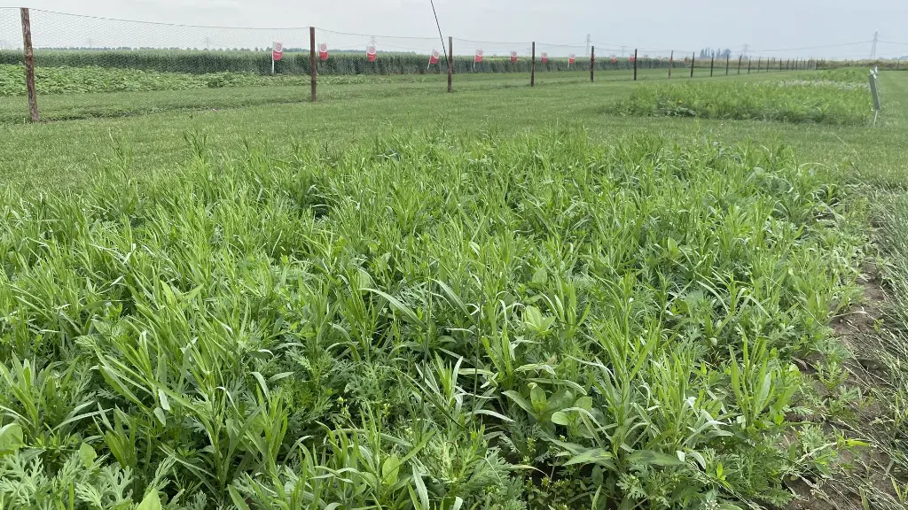 New Wave_22.6.2021 (1).webp