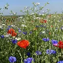 Binnen bebouwde kom_8.6.2021 (2).webp