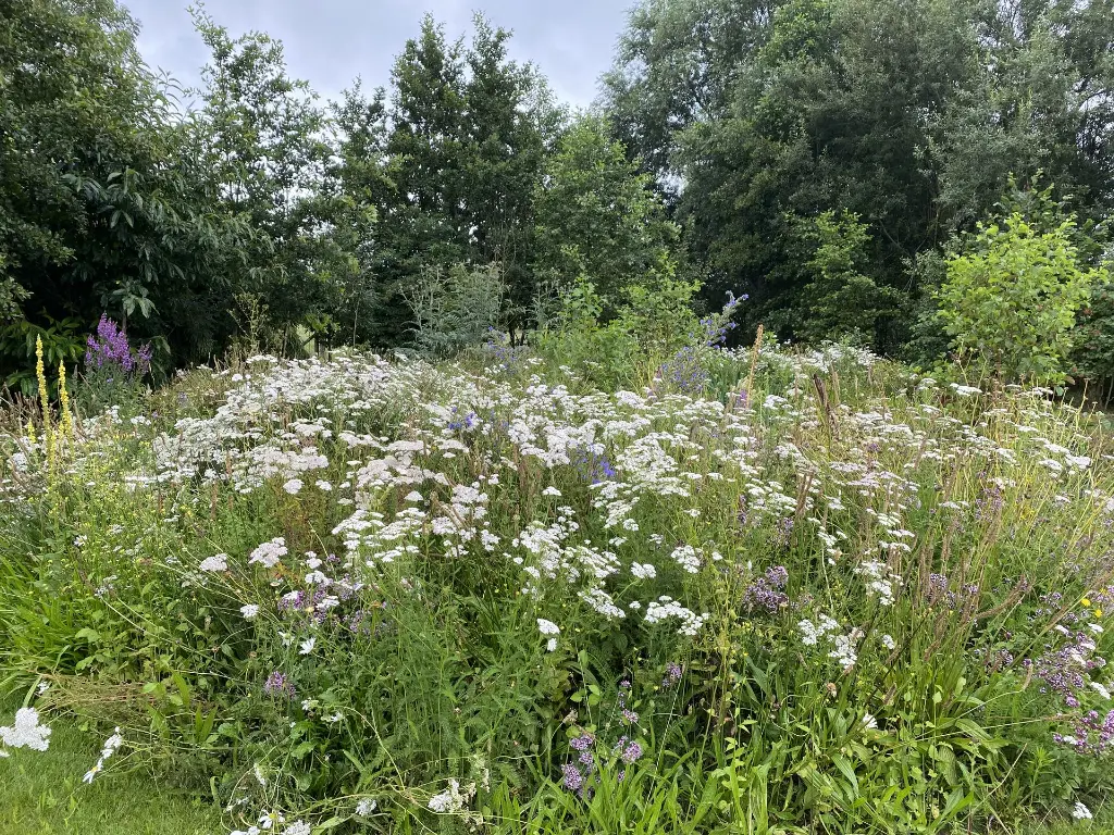 Classic - zomer 20 (6).webp