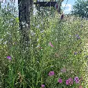 romantic thuis 2022 (1).webp