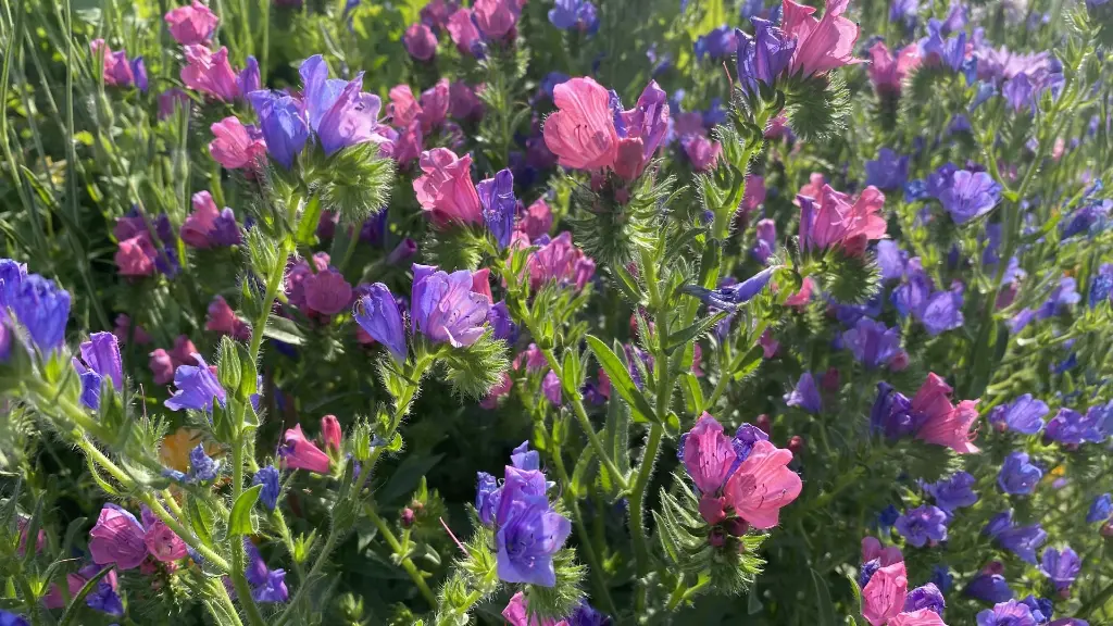 Renaissance 31_18.5.2021 (5).webp