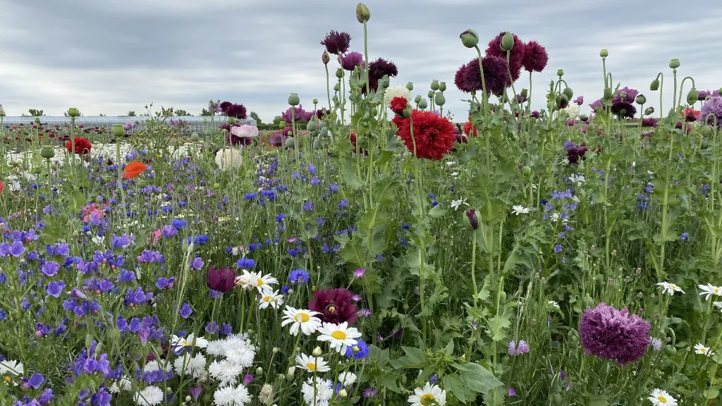 Nostalgie_C_8.6.2021 (9).webp