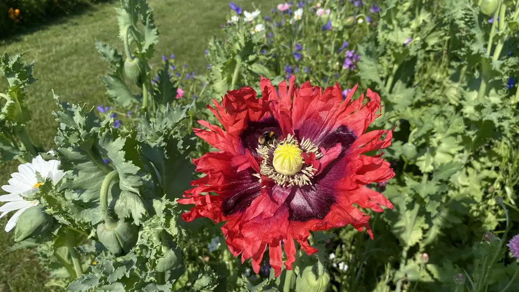 Nostalgie_C_8.6.2021 (3).webp