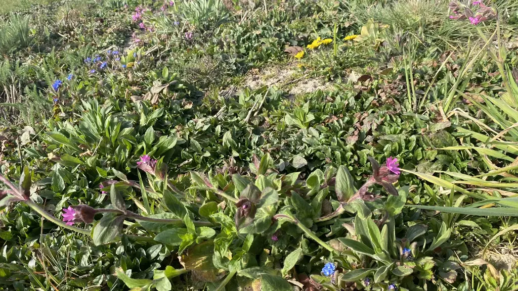 2022_0. Staygreen 10_30 maart (3).webp