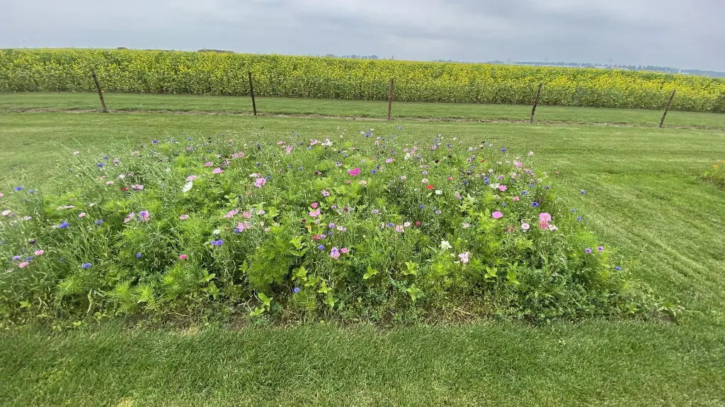 Festival_13.7.2021 (4).webp